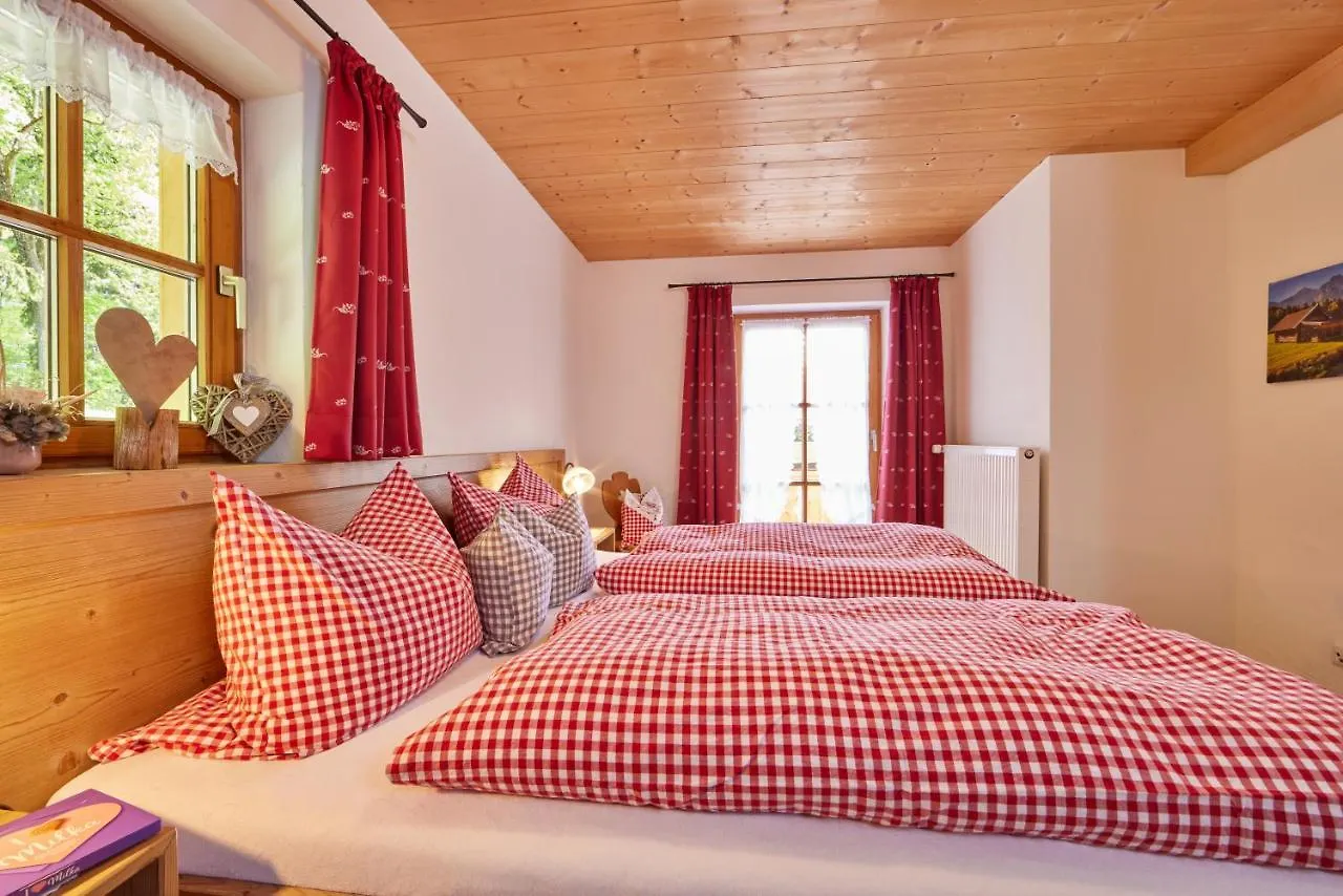 Apartment Ferienwohnungen Pfanzelter Grainau